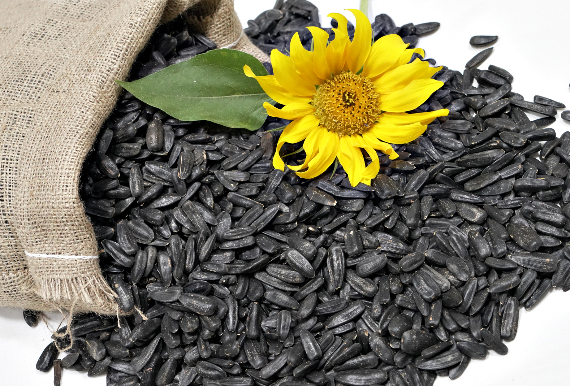 مصرف تخمه آفتاب‌گردان در ورزشکاران