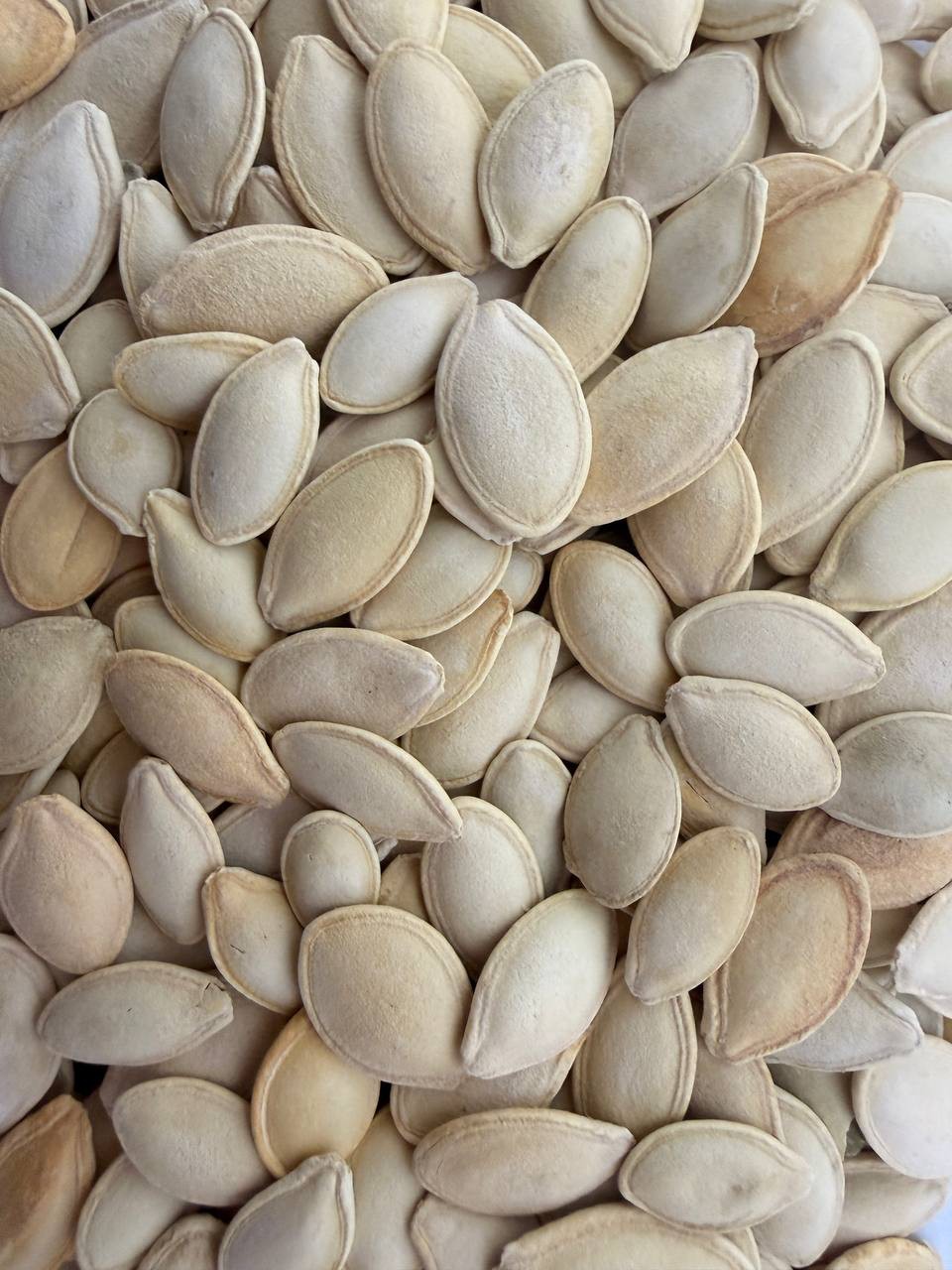 تخمه کدو لوکس با قیمت عمده | درجه 1