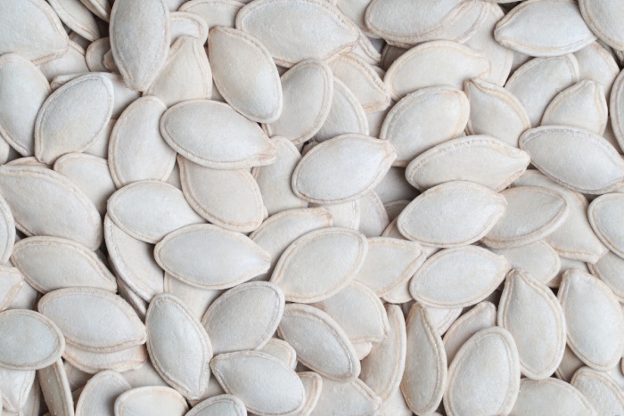 تخمه کدو نمکی با قیمت مناسب