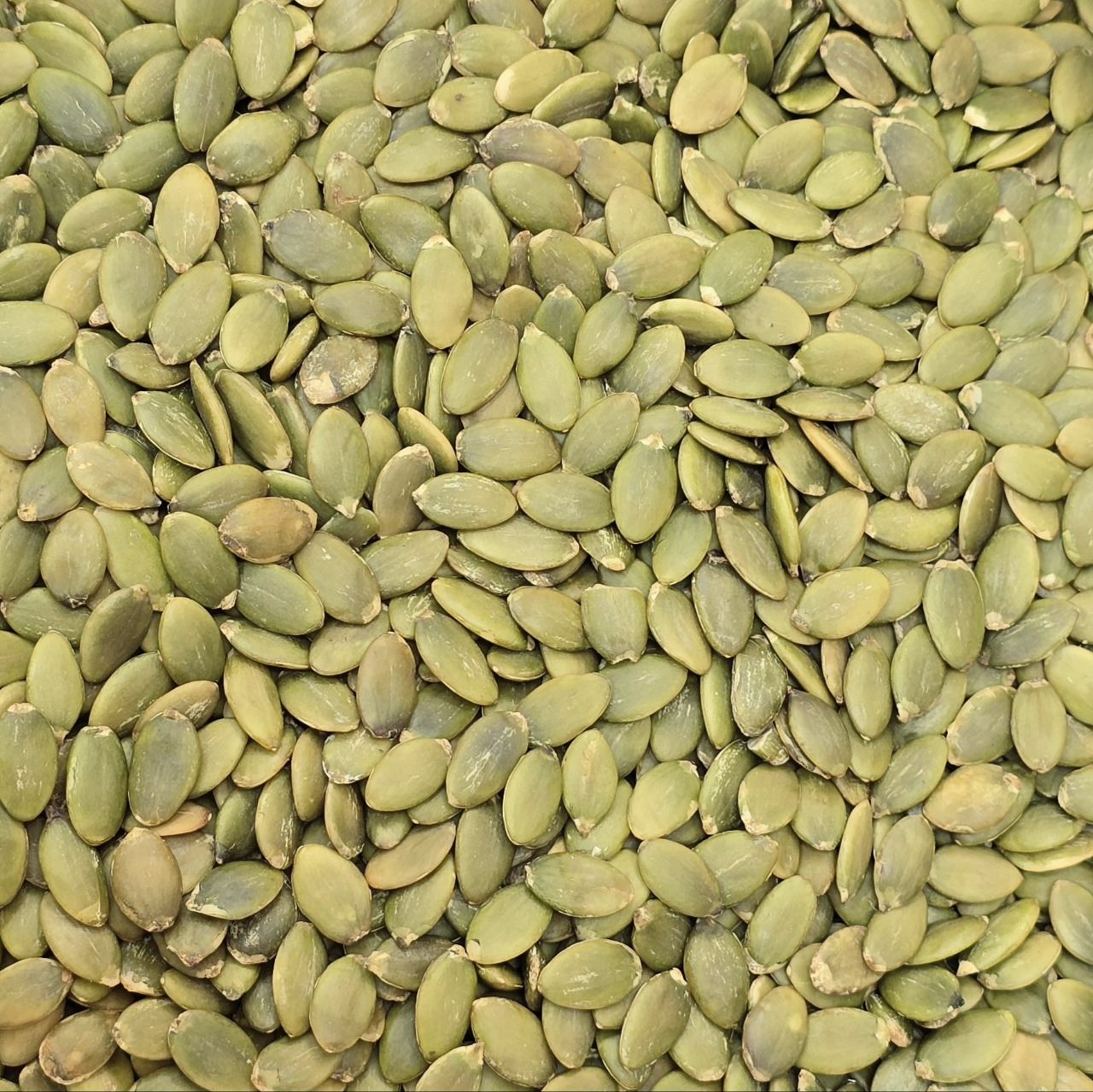 مغز تخمه کدو گوشتی خام عمده