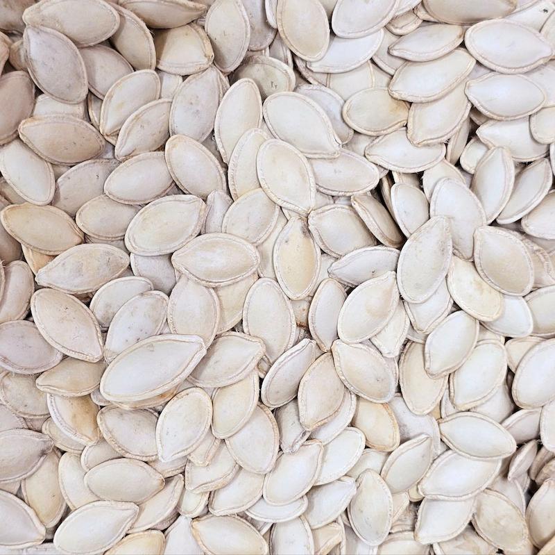 فروش عمده تخمه کدو گوشتی خام