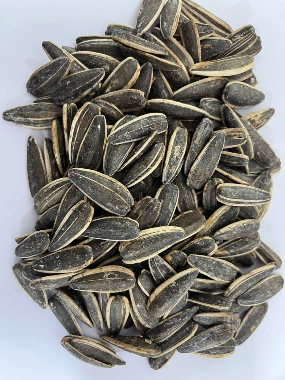 تخمه نمکی لوکس عمده به قیمت کارخانه