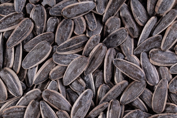 تخمه افتابگردان نمکی ( تخمه آفتابگردان - تخمه نمکی بوداده)