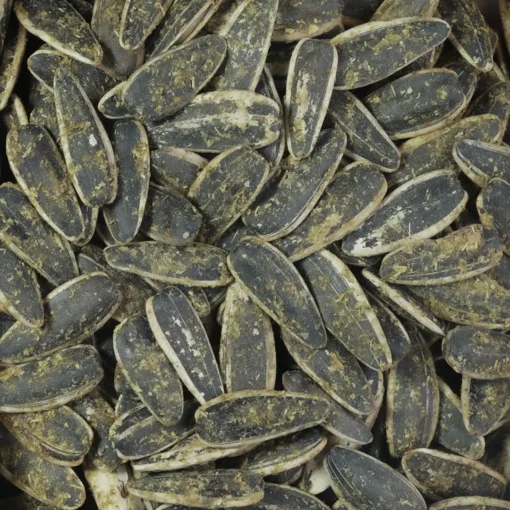 تخمه آفتابگردان رنچ مخصوص صادرات