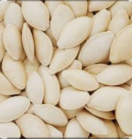 پخش تخمه کدو گوشتی | فروش عمده زیر قیمت بازار