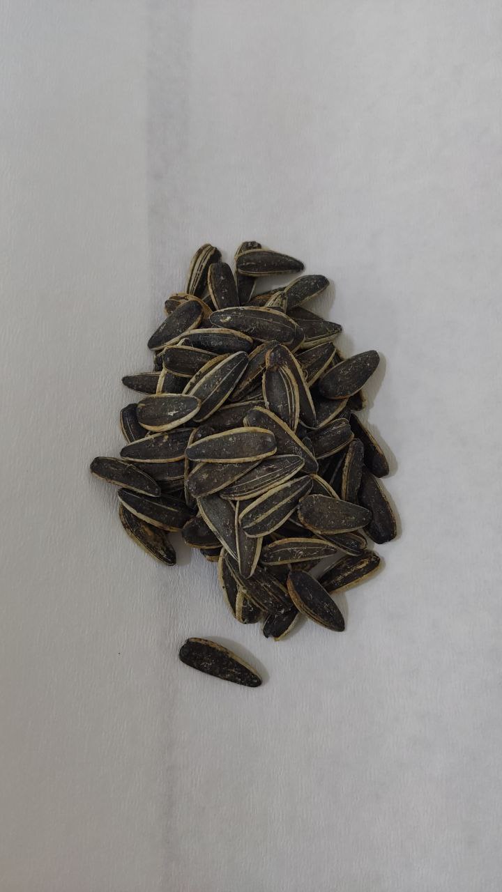  تخمه سس رنچ - مناسب قیمت